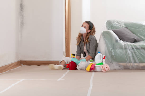 Reliable Mold Removal contractor in Redmond, OR by WQB Mold Removal